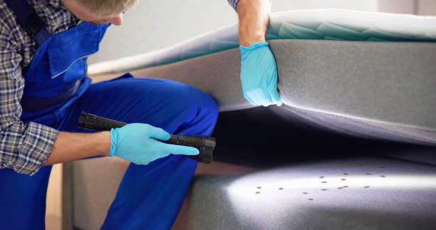 Best Local Pest Control Services  in Jesup, IA
