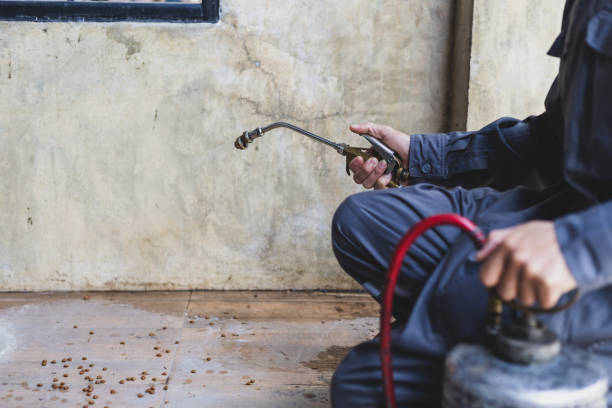 Best Mosquito Control Services  in Jesup, IA